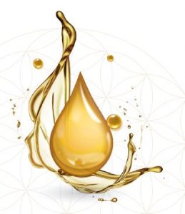GOUTTE-LR-259x300
